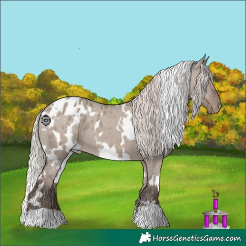 Horse Color:White Spotted Silver Grullo Appaloosa 