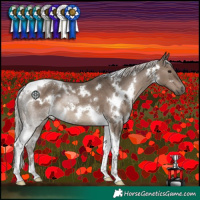 Horse Color:White Spotted Silver Grullo Tobiano 