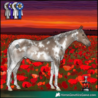 Horse Color:White Spotted Silver Grullo Tobiano 