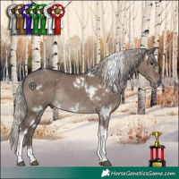 Horse Color:White Spotted Silver Grullo Tobiano Rabicano