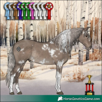 Horse Color:White Spotted Silver Grullo Tobiano Rabicano