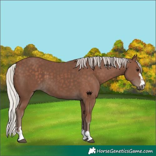 Horse Color:Silver Black 