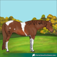 Horse Color:Chestnut Tobiano 