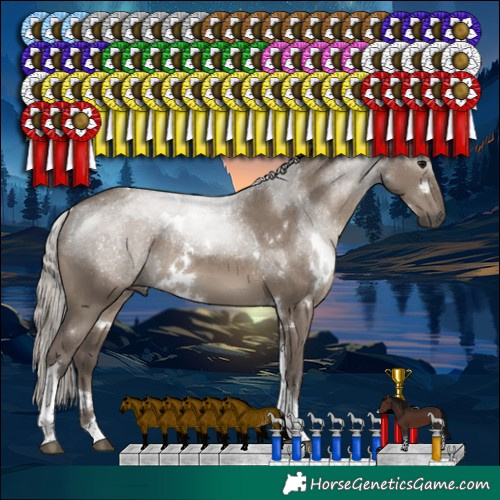 Horse Color:White Spotted Silver Grullo Tobiano Rabicano 