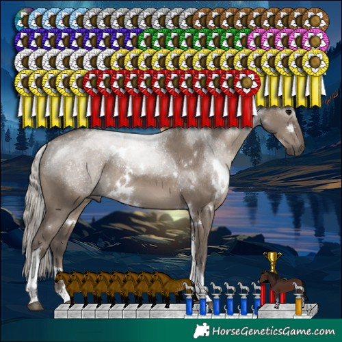 Horse Color:White Spotted Silver Grullo Tobiano Rabicano 