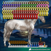 Horse Color:White Spotted Silver Grullo Tobiano Rabicano 