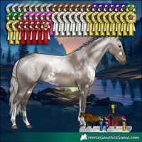 Horse Color:White Spotted Silver Grullo Tobiano Rabicano