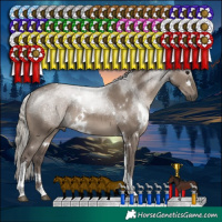 Horse Color:White Spotted Silver Grullo Tobiano Rabicano 