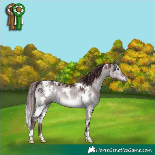 Horse Color:Platinum White Spotted Chocolate Brown Dun 