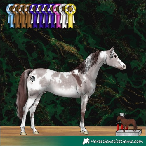 Horse Color:Platinum White Spotted Chocolate Brown Dun 