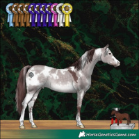 Horse Color:Platinum White Spotted Chocolate Brown Dun 