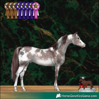Horse Color:Platinum White Spotted Chocolate Brown Dun 