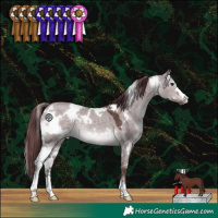 Horse Color:Platinum White Spotted Chocolate Brown Dun 