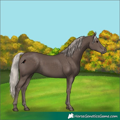 Horse Color:Silver Black 