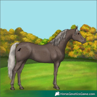 Horse Color:Silver Black 
