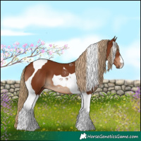 Horse Color:Chestnut Tobiano 