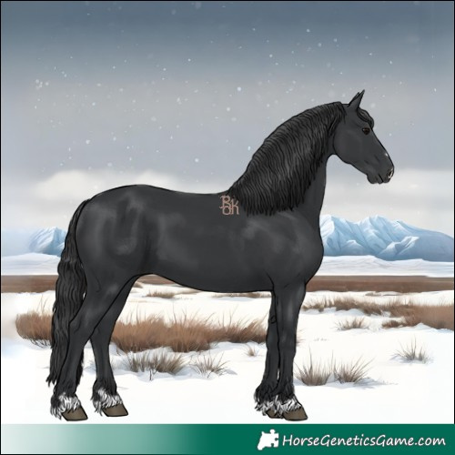Horse Color:Black 