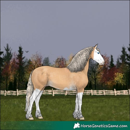 Horse Color:Gold Cream Champagne Splash 