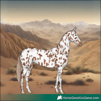 Horse Color:Chestnut Near Leopard