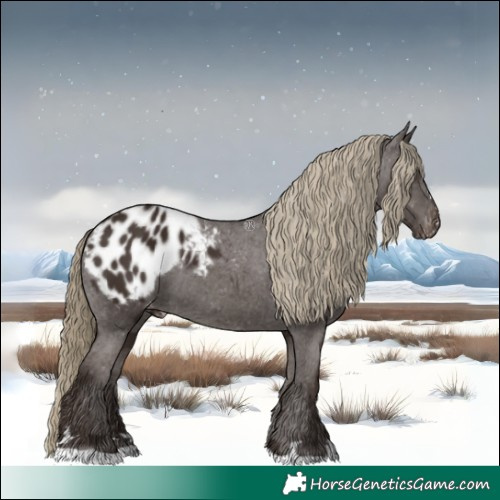 Horse Color:Liver Chestnut Appaloosa