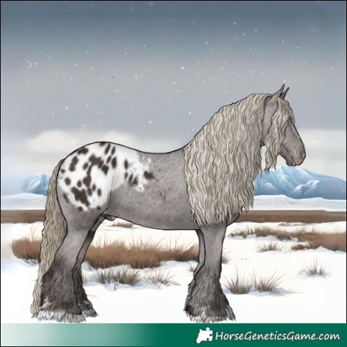 Horse Color:Liver Chestnut Appaloosa