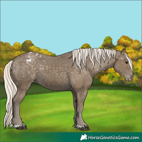 Horse Color:Silver Smoky Black Blanket
