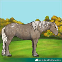 Horse Color:Silver Smoky Black Blanket 