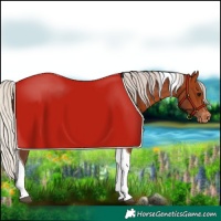 Horse Color:Silver Brown Tobiano Appaloosa