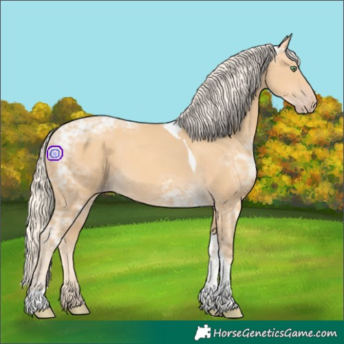 Horse Color:Gold Cream Champagne Ice Tobiano