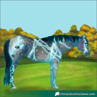 Horse Color:ERROR: UNKNOWN ANOMALY