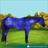Horse Color:ERROR: UNKNOWN ANOMALY