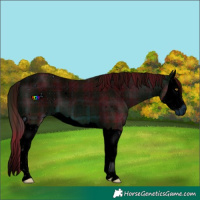 Horse Color:ERROR: UNKNOWN ANOMALY