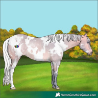Horse Color:Watercolor White Spotted Silver Buckskin Chinchilla Rabicano