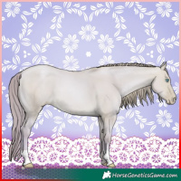 Horse Color:Watercolor Buckskin Pearl Dun