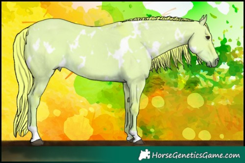 Horse Color:Watercolor White Spotted Liver Red Dun 
