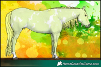 Horse Color:Watercolor White Spotted Liver Red Dun 