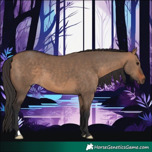 Horse Color:Bay Dun 