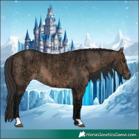 Horse Color:Brown Ice Dun 