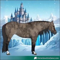 Horse Color:Brown Ice Dun 