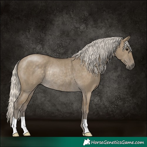Horse Color:Silver Smoky Grullo Rabicano 