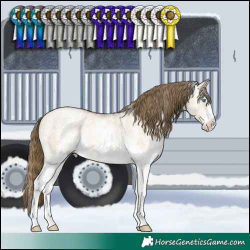 Horse Color:Buckskin Pearl Dun Sabino 