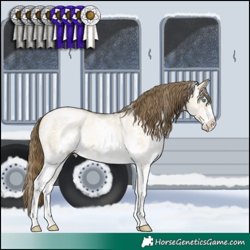Horse Color:Buckskin Pearl Dun Sabino 