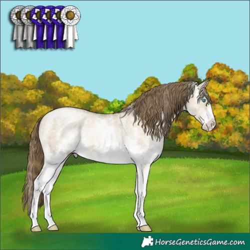 Horse Color:Buckskin Pearl Dun Sabino 