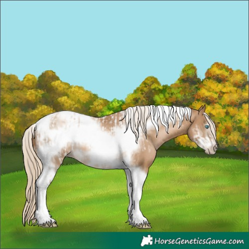 Horse Color:Chocolate Palomino Pearl Tobiano Frame  and Chocolate Palomino Pearl Tobiano Frame 