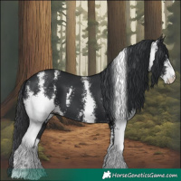 Horse Color:Black Sabino 