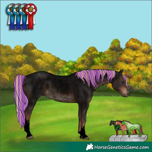 Horse Color:Void Painted White Spotted Liver Red Roan 