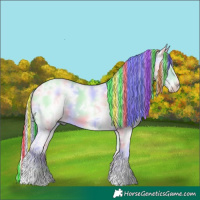 Horse Color:Painted Nacre White Spotted Liver Red Dun Chinchilla Ice Onyx 