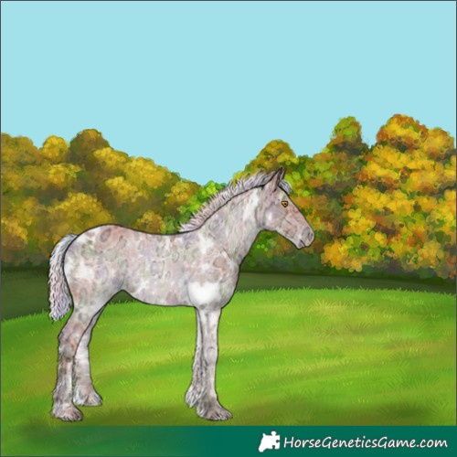 Horse Color:Nacre White Spotted Silver Classic Champagne Ice 