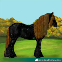 Horse Color:ERROR: UNKNOWN ANOMALY