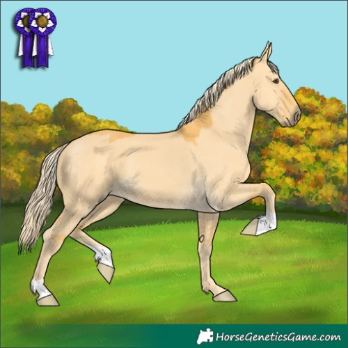 Horse Color:Palomino Dun 